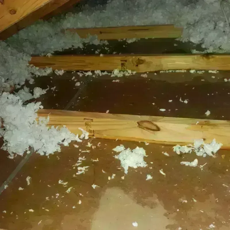 Attic Water Damage in Sierra County, NM