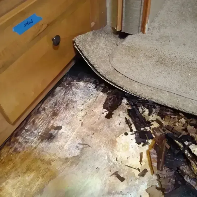 Wood Floor Water Damage in Sierra County, NM